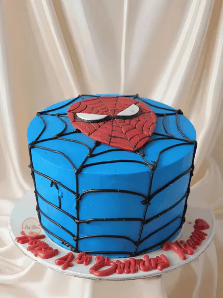 Spiderman Web Theme Cake
